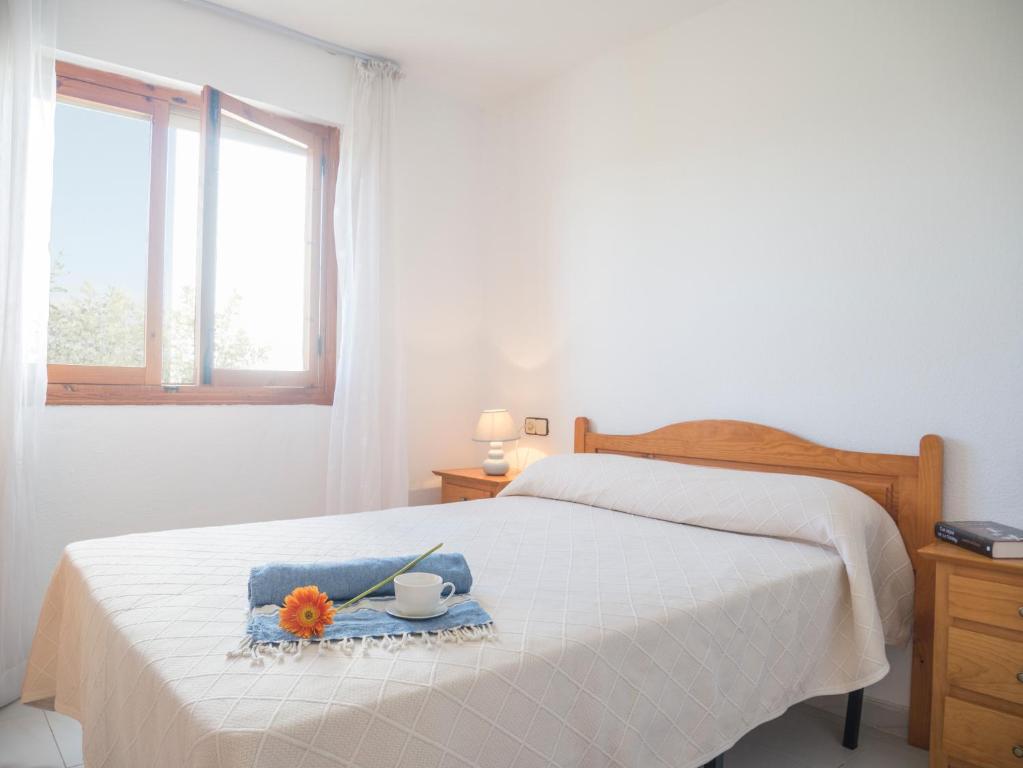Complejo Cap i Corp Playa de Mascotas, Alcossebre – Updated ...