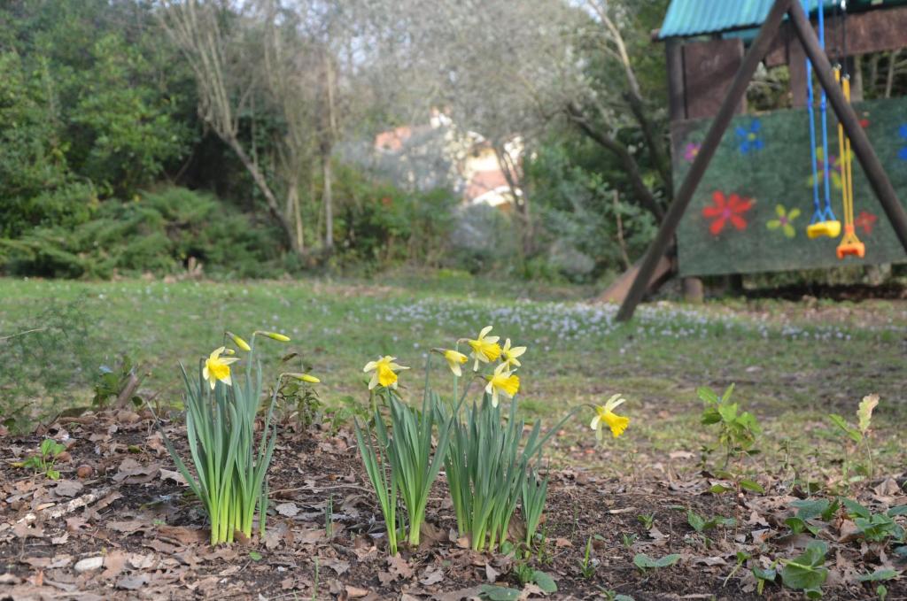 Vonkajšia záhrada v ubytovaní Il Giardino Secreto
