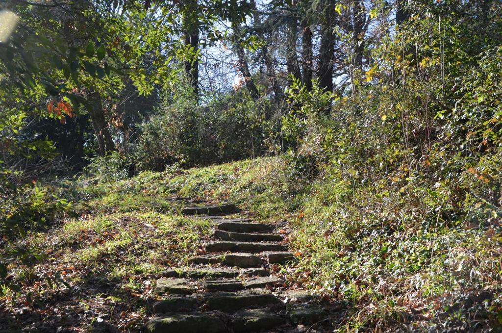 Vonkajšia záhrada v ubytovaní Il Giardino Secreto