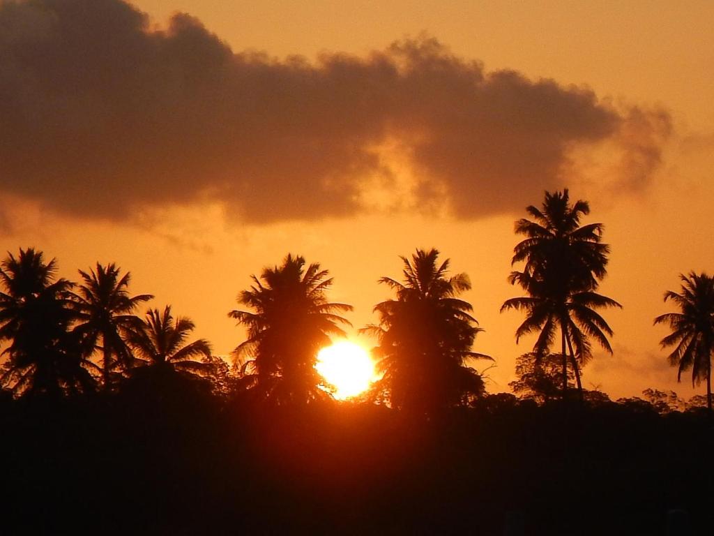  Solar Teixeira FLATS