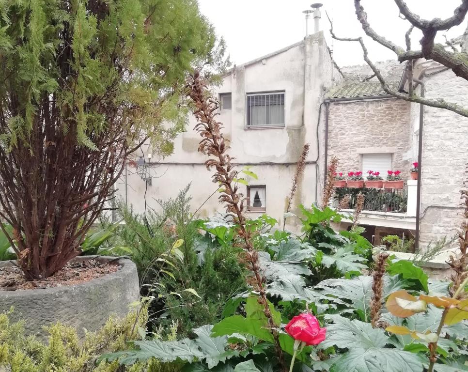 a garden with a red rose in front of a building at Ca la Bet in Claravalls