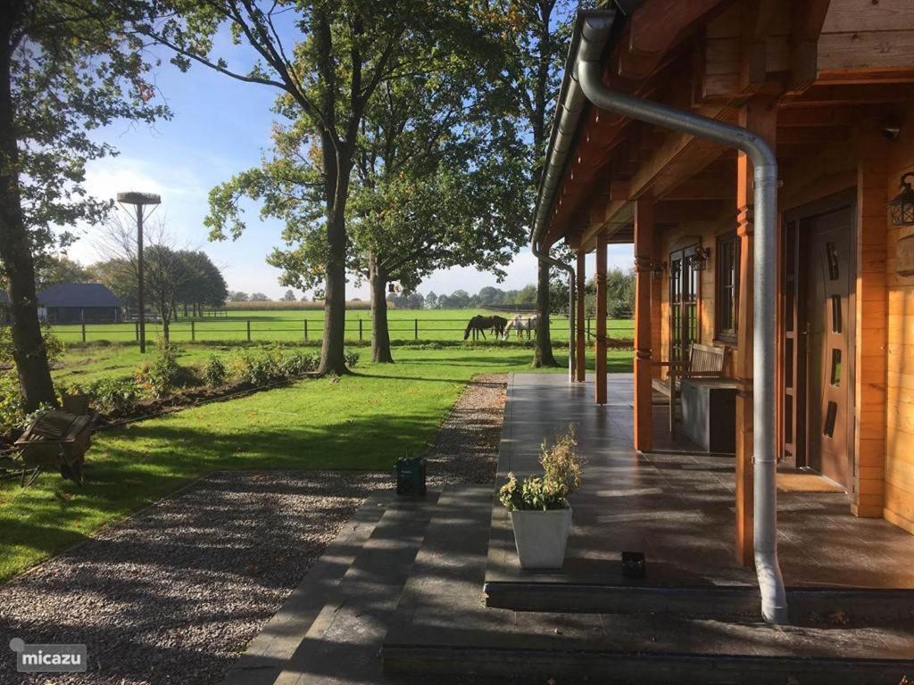 a porch of a house with a horse in the field at Houten villa Albert in Den Ham
