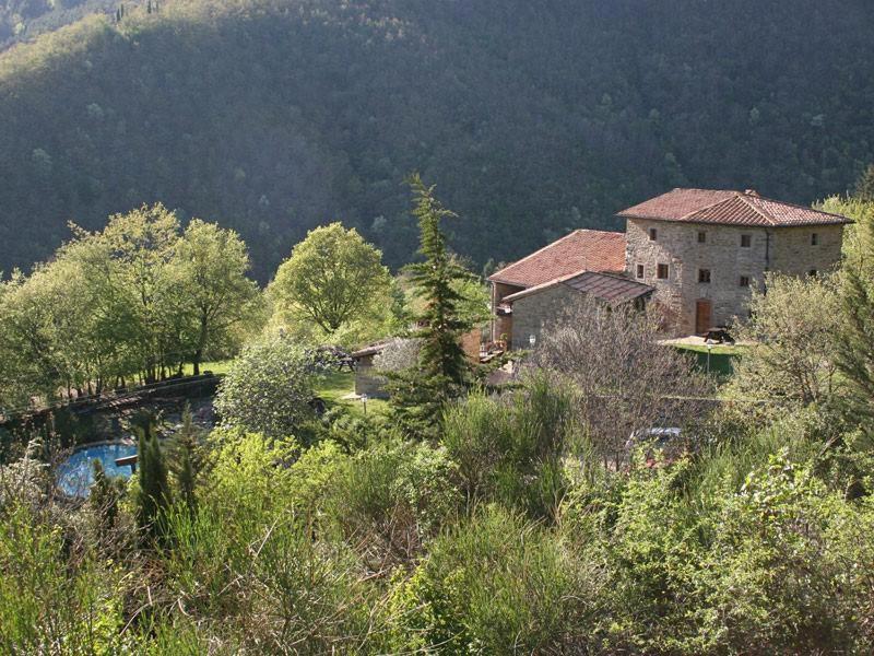 una casa sul fianco di una collina con alberi di Podere Pian De' Cortini a Serravalle