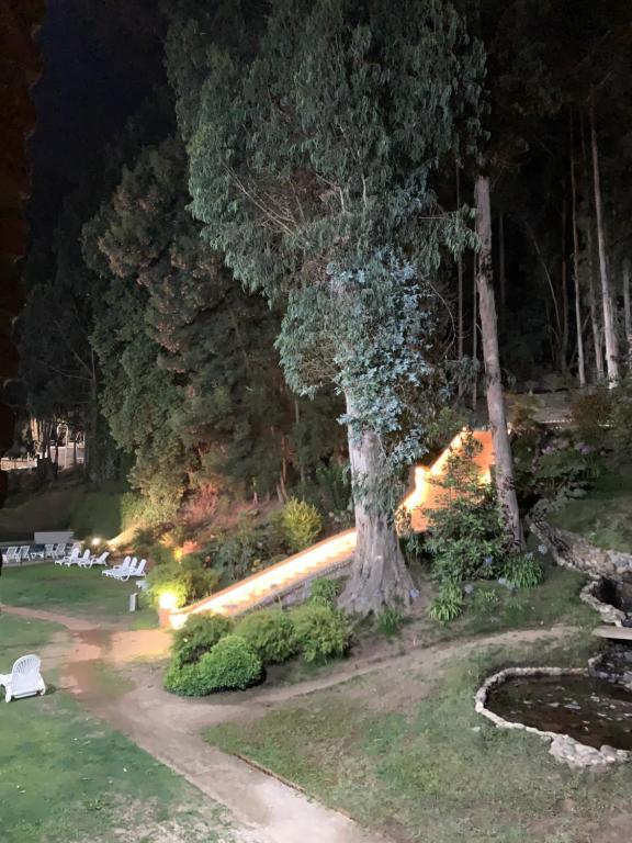 Zahrada ubytování Hotel Bosque de Reñaca