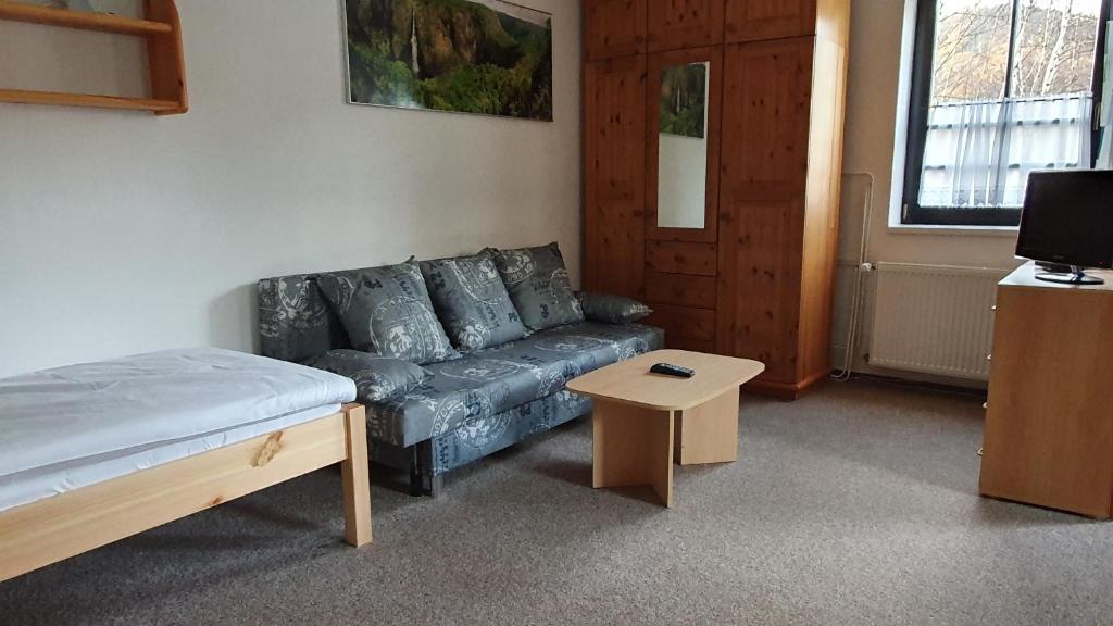 TV a/nebo společenská místnost v ubytování Apartmány EDDY
