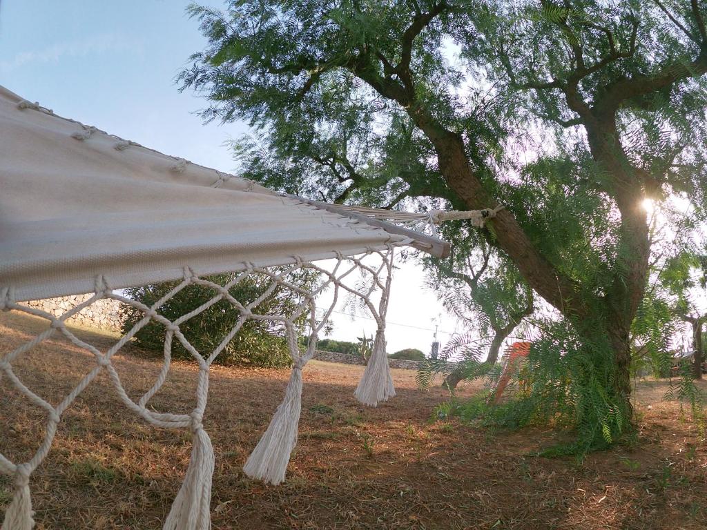 B&b nella Tenuta Nonno Carmine - foto 25