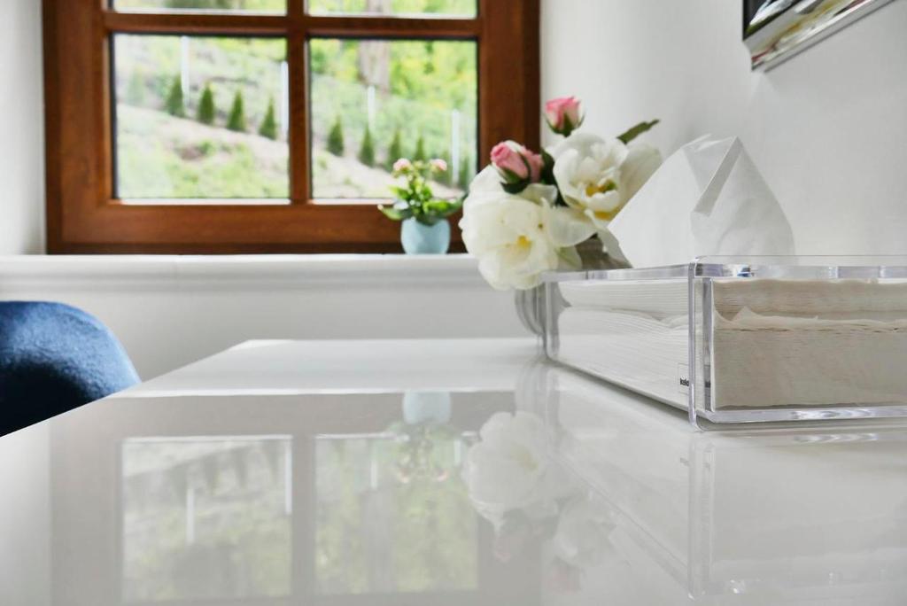 Euforia Apartamenty - 14