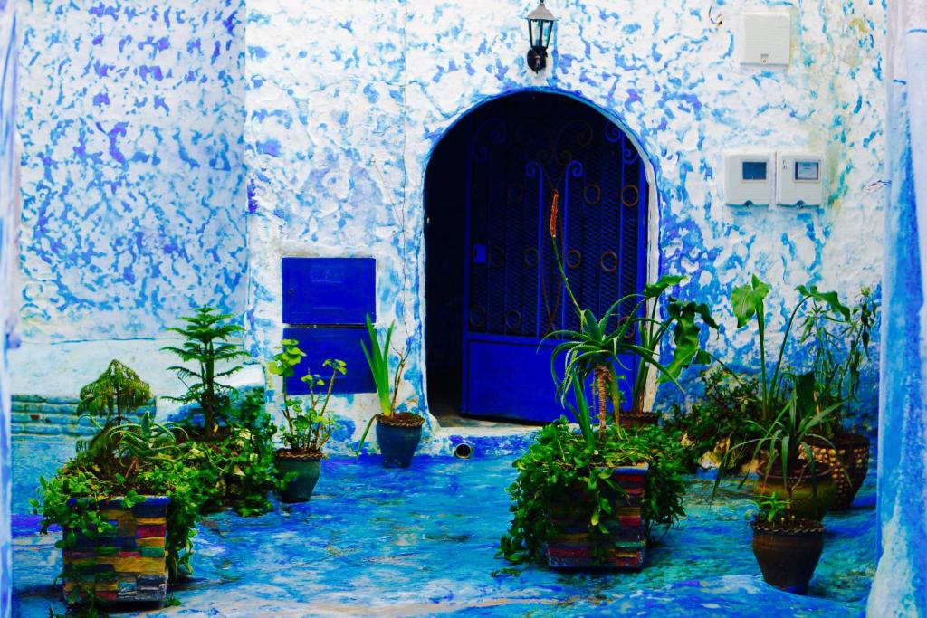 casa malek في شفشاون: المدخل الأزرق مع نباتات الفخار أمام الباب