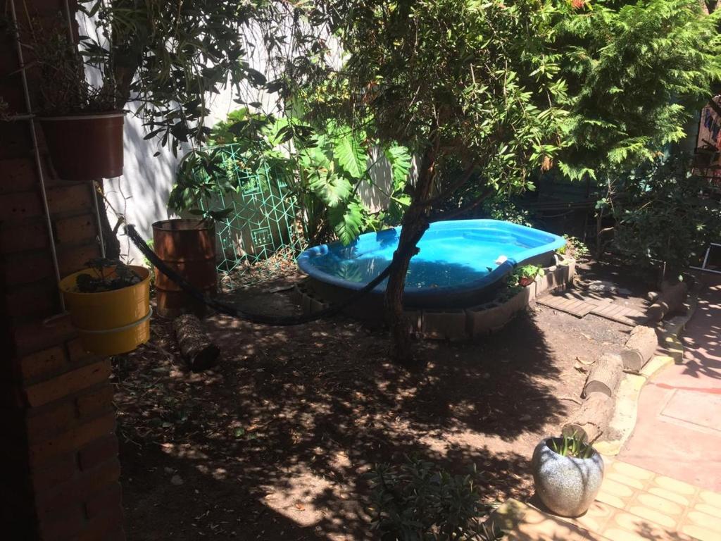 una pequeña bañera azul sentada junto a un árbol en Hostel Casa & Campo en Buenos Aires