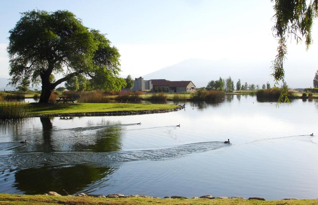 a group of ducks swimming in a lake at Casa Estancia de Cafayate in Cafayate