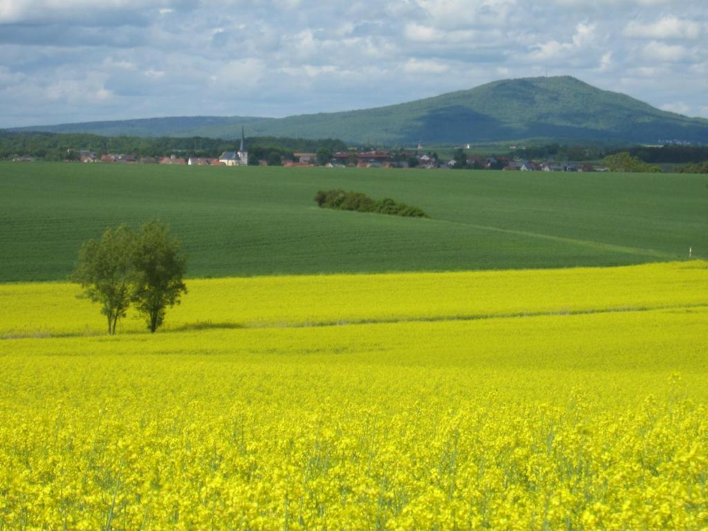Příroda nedaleko hotelu