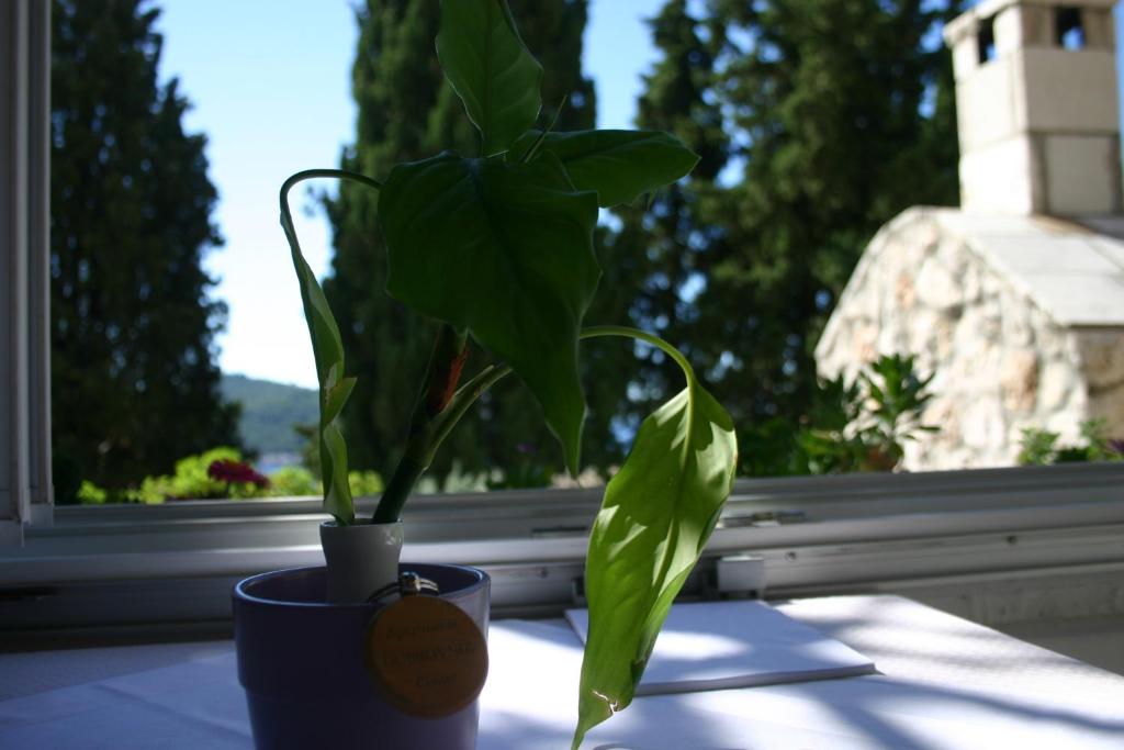 Apartments Dubrovnik Center - 3