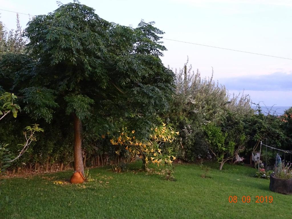 Zahrada ubytování Quinta da Maria