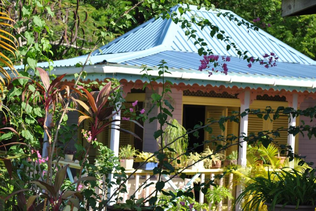 Zahrada ubytování Villa Caribbean Dream