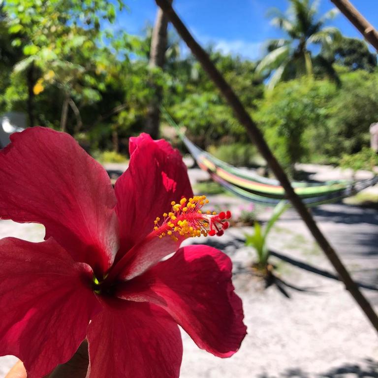  Pouso do Cajueiro camping