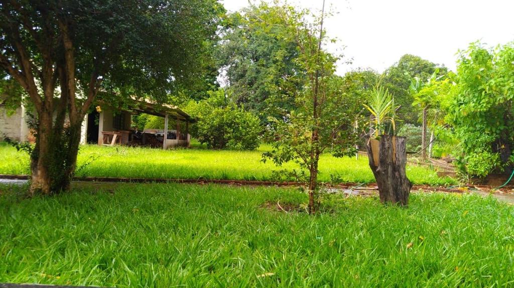  Rancho Palmeira pesca- Recanto das flores Florínia