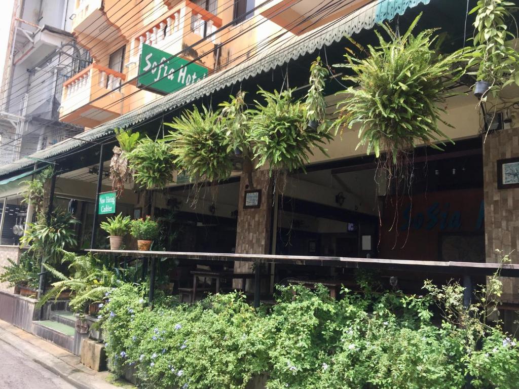 Sofia Hotel - Resim 45