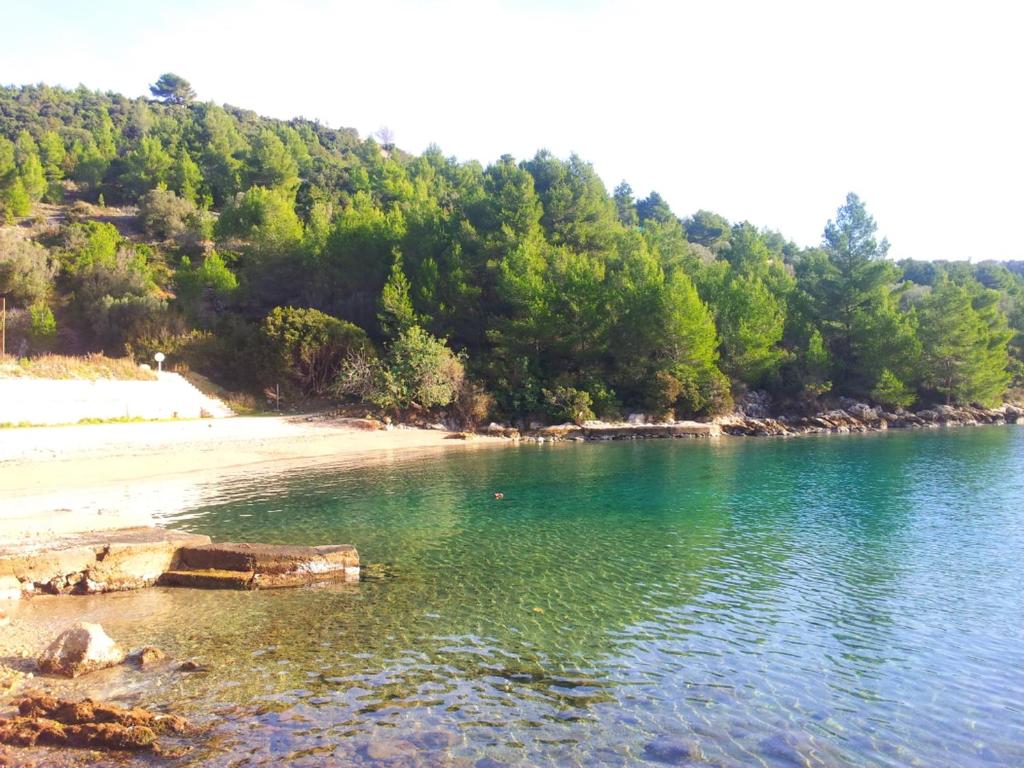 a view of a beach with trees in the background at Getaway Beach House in Vela Luka