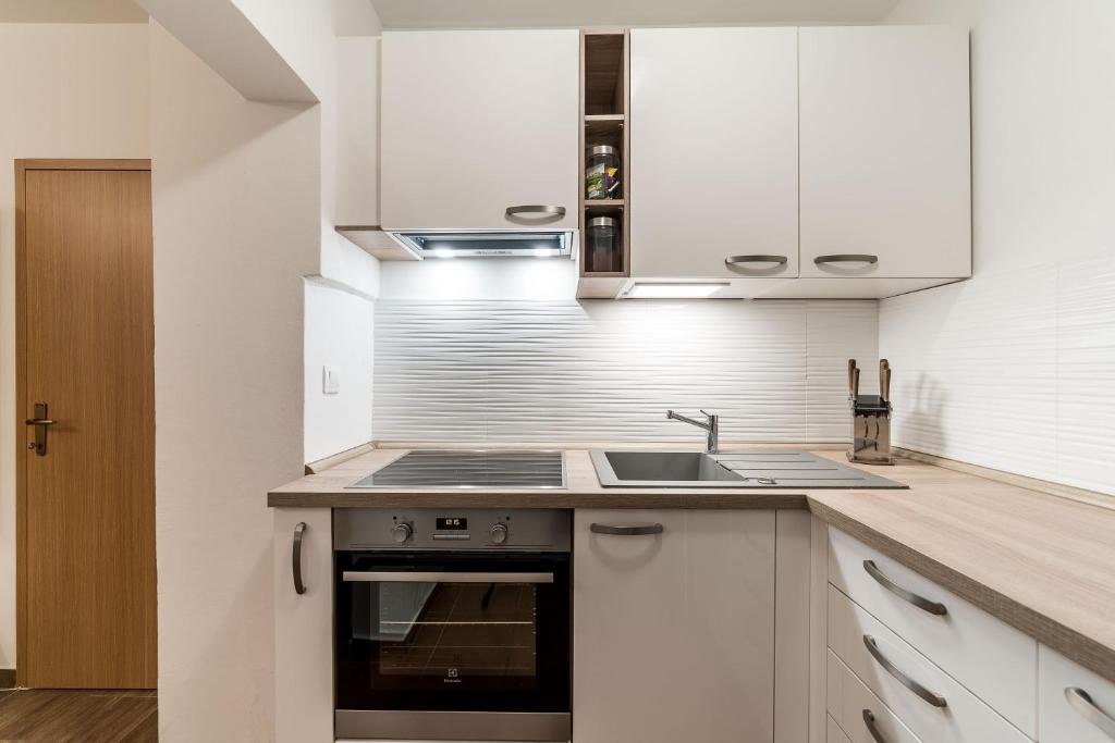Kuchyňa alebo kuchynka v ubytovaní Apartment Visic's place