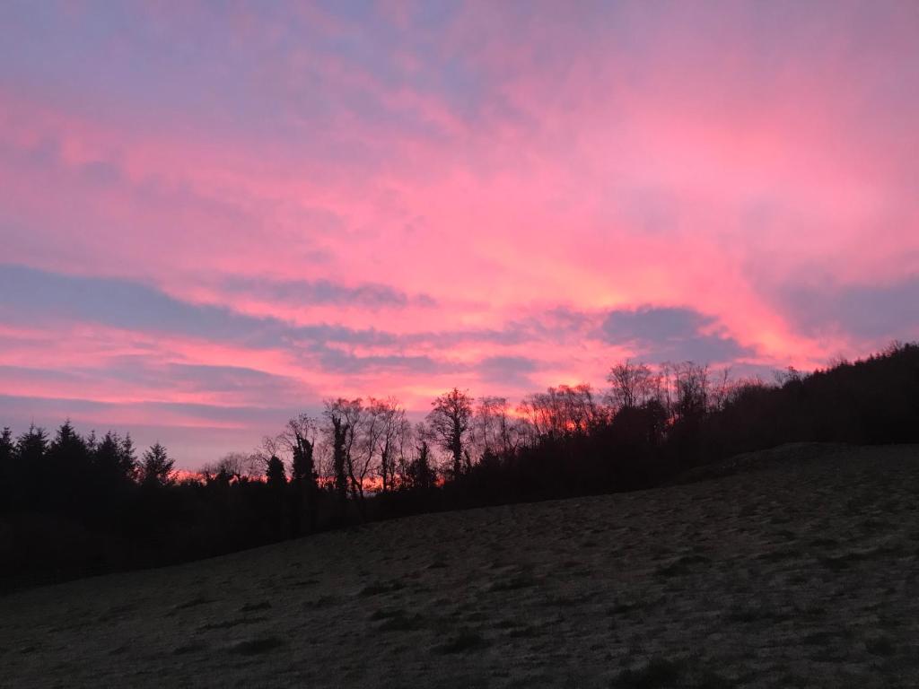 a sunset over a field with trees in the background at Forest View - Castlewellan, County Down in Belfast