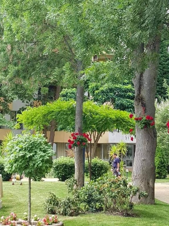 Zahrada ubytování Yassen Holiday Village