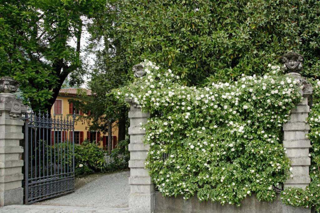 a bush with white flowers on a fence at Appartamento nel Parco di Villa Erba in Cernobbio