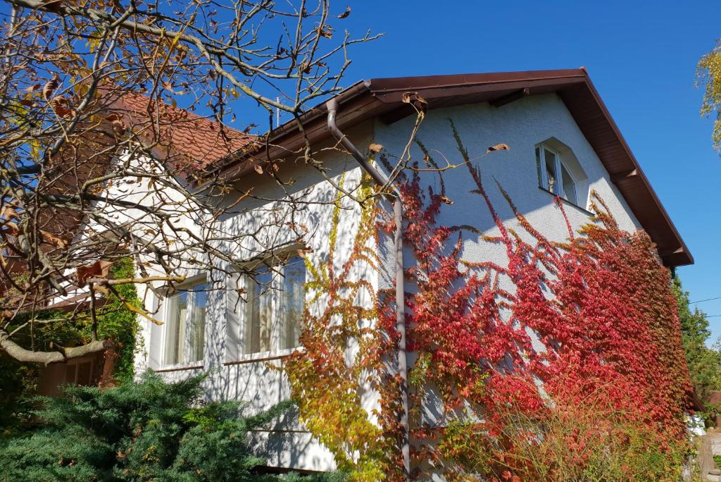 une maison avec des feuilles colorées sur son côté dans l'établissement BOROWE KT, à Warka