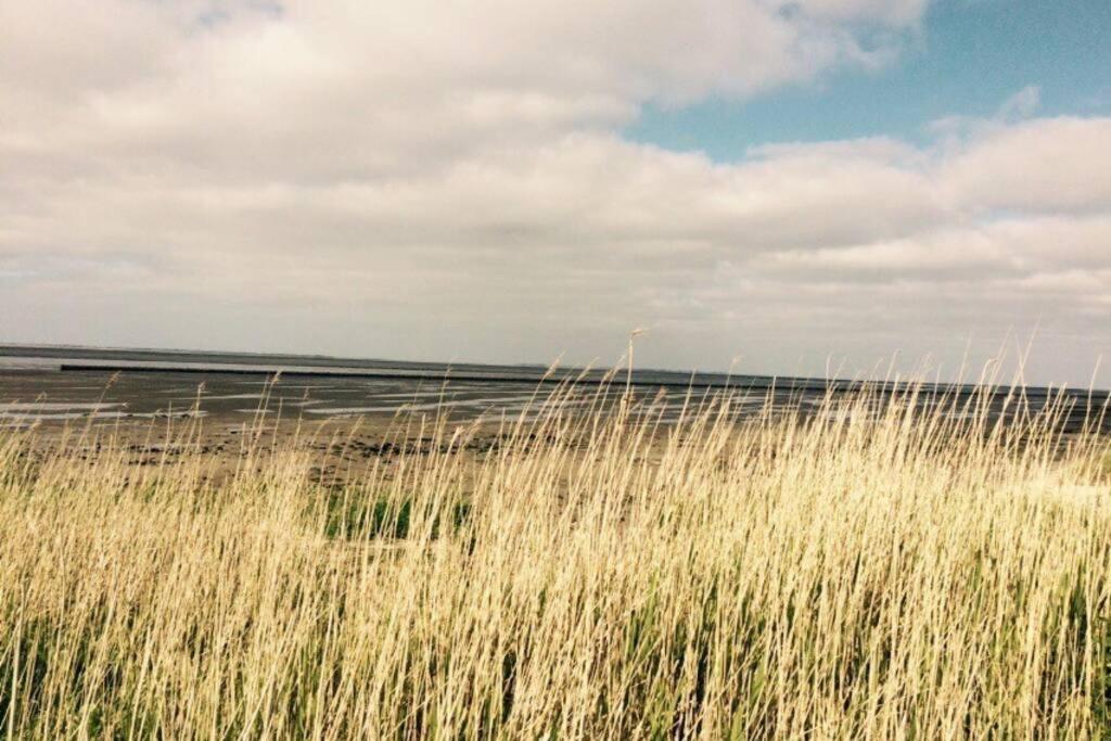 un campo de hierba alta con el océano en el fondo en Ferienwohnung Nr. 2 - Düne, en Werdum