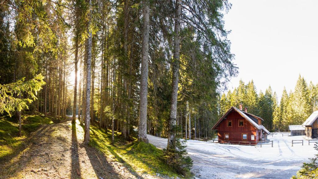 eine Hütte im Wald mit Schnee und Bäumen in der Unterkunft Digital Detox Chalet Pokljuka in Goreljek