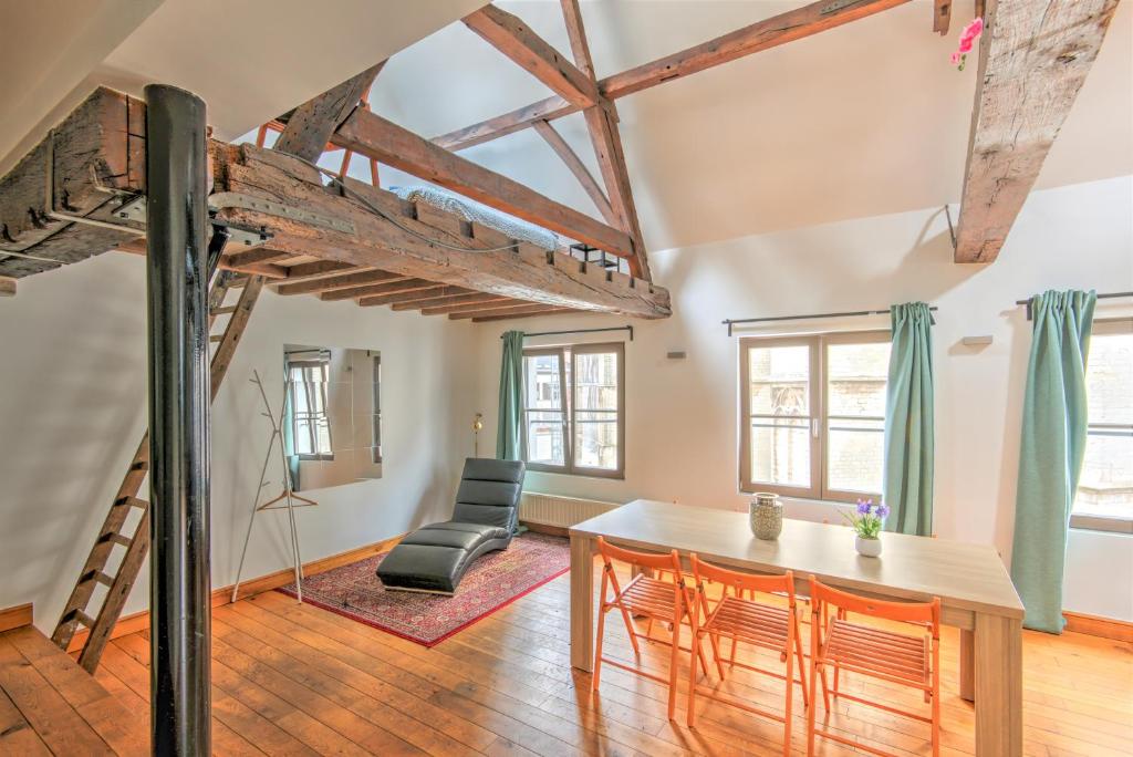 Tempel Cathedral Lodge in the Heart of Antwerp - Superior Appartement