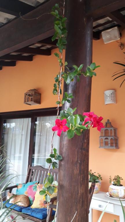  Suítes Luxo Cananéia