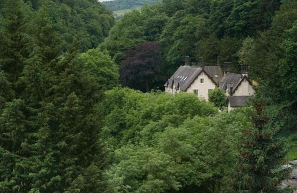 a house in the middle of a forest of trees at High Tor Hotel in Matlock