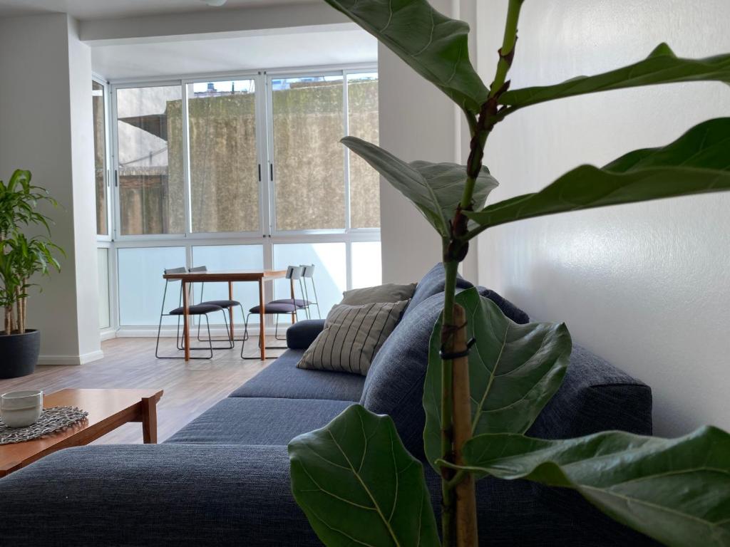 a living room with a blue couch and a plant at Departamento nuevo y luminoso en el centro de BA in Buenos Aires