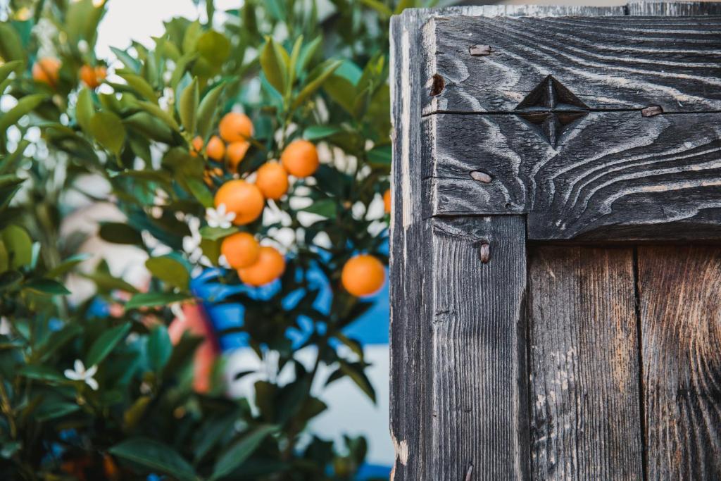 Fotografie z fotogalerie ubytování Art Hotel Riposo v destinaci Ascona