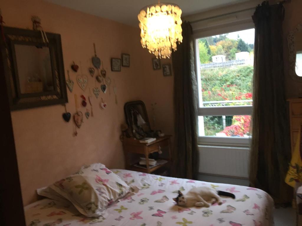 a dog laying on a bed in a bedroom at Chambre privée in Épinal