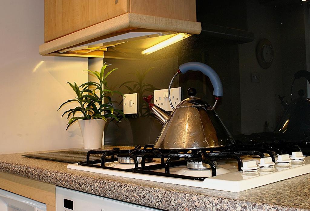 Kuchyň nebo kuchyňský kout v ubytování Linden Apartment