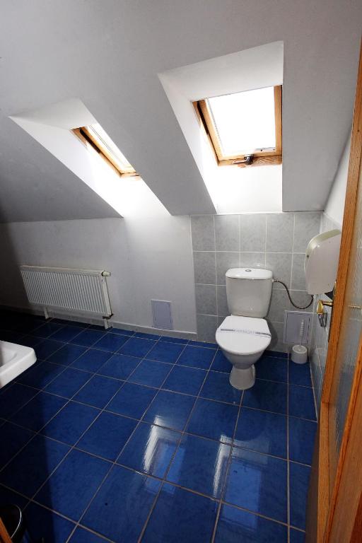 a bathroom with a toilet and a sink at Hotel Širák in Most