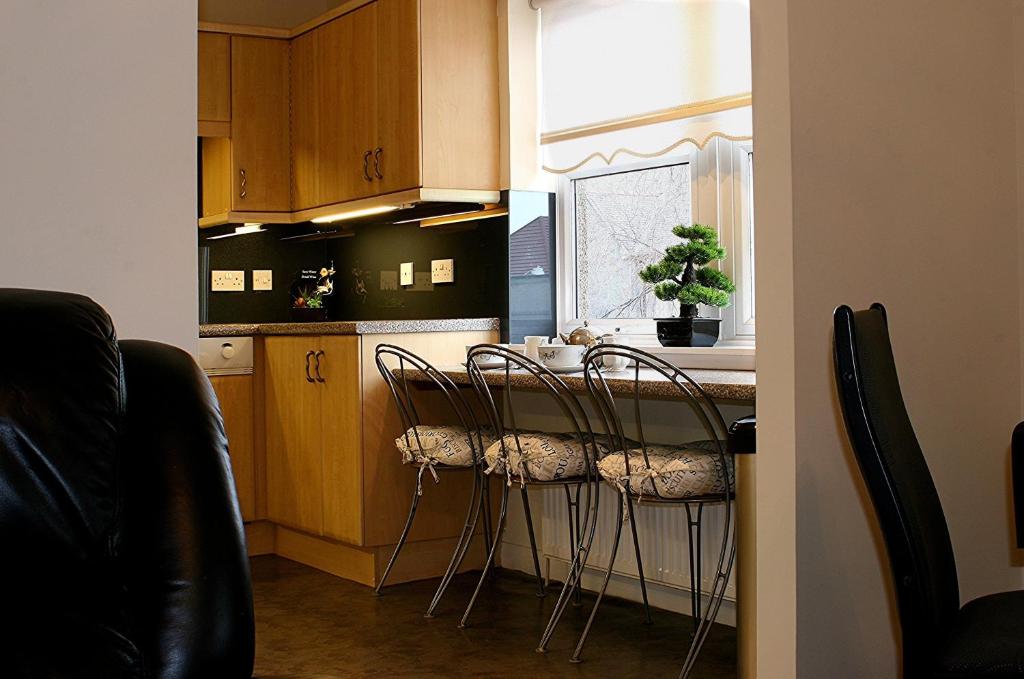 Kuchyň nebo kuchyňský kout v ubytování Linden Apartment