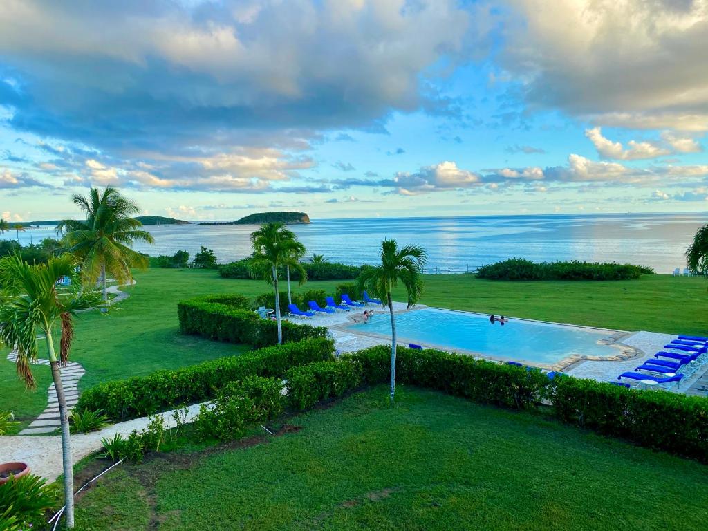 een luchtzicht op een zwembad van het resort en de oceaan bij Blue Horizon Boutique Resort in Vieques