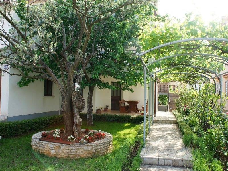 un jardín con un árbol en un círculo de piedra junto a una casa en Apartman Snježana, en Fažana