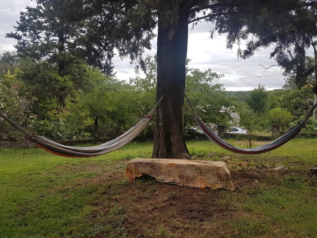 Eine Hängematte hängt von einem Baum auf einem Feld in der Unterkunft Hamacas Serranas in Salsipuedes