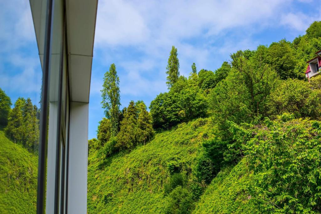 Příroda nedaleko hotelu