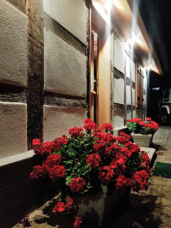 Posezení v ubytování Une Maison à Colombages - Cosy, Lumineuse et Sauna