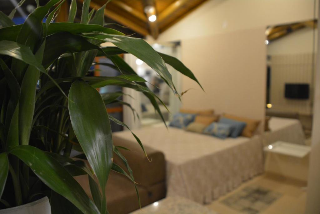  Lofts Asa Delta