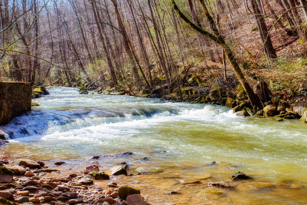 a stream of water with rocks and trees in the background at A Waterfall Retreat- Waterfall, Cozy Cabin Retreat in the Smokies Comfort & Fun for All in Sevierville
