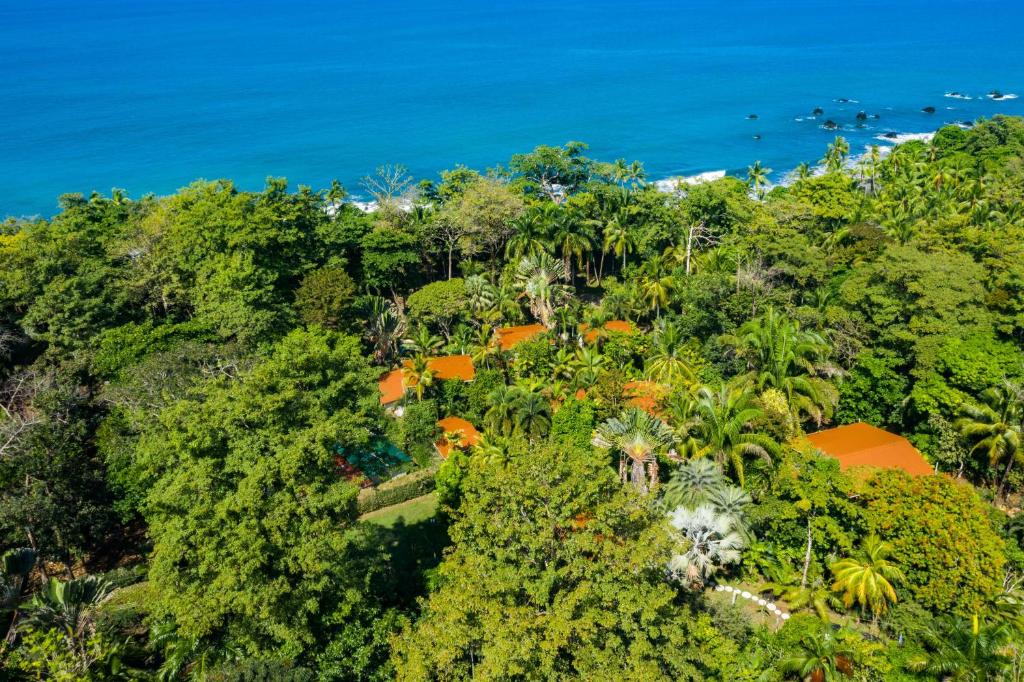 una vista aerea di un'isola tropicale con alberi e l'oceano di La Ponderosa a Pavones