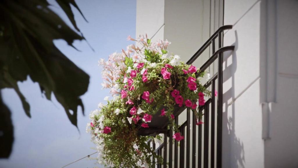 Montmartre Residence - 16