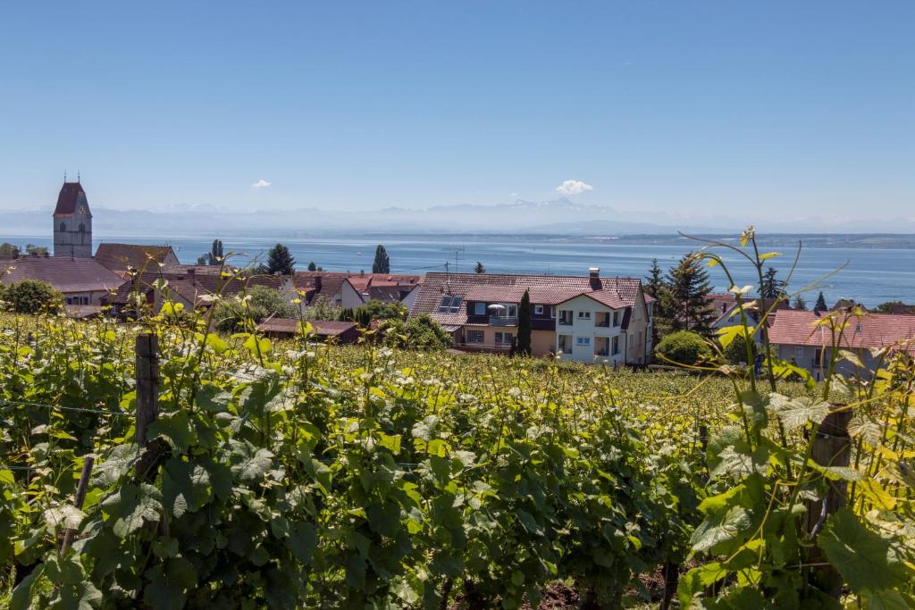 une ville au milieu d'un champ de fleurs dans l'établissement Ferienhof Berger UG, à Hagnau am Bodensee