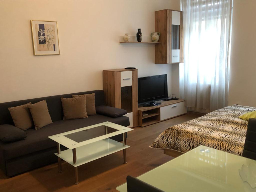 uma sala de estar com um sofá e uma televisão em Green apartment em Viena
