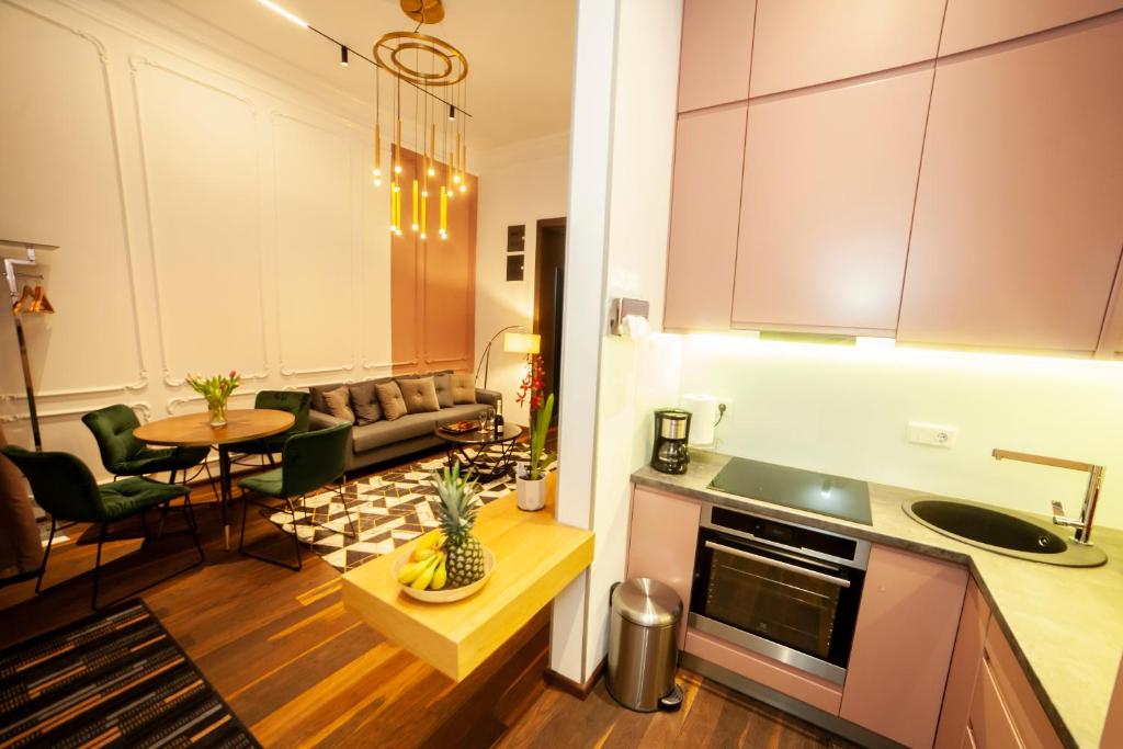 Kuchyň nebo kuchyňský kout v ubytování Matei Corvin Apartment